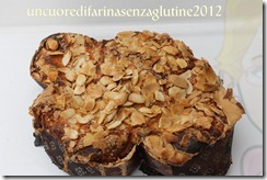 colomba a biga 5