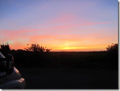 IMG_8526 IMG_8526