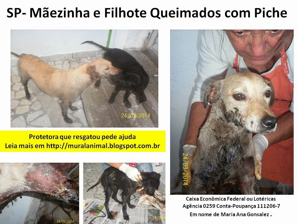 [SP-%2520M%25C3%25A3ezinha%2520e%2520Filhote%2520Queimados%2520com%2520Piche%255B3%255D.jpg]