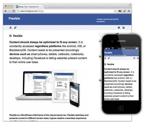 flexible-theme-wordpress flexible-theme-wordpress