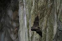 IMG_9471.JPG