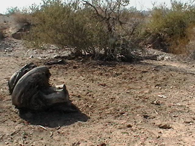 [IMGA06224.jpg]