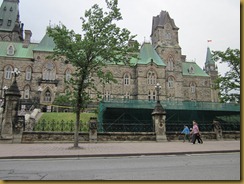 IMG_1950 IMG_1950