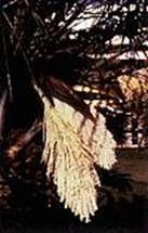 [clip_image006%255B4%255D%255B2%255D.jpg]