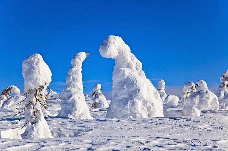 Mùa đông ở công viên Riisitunturi National, Phần Lan. Riisitunturi-tykky-12%25255B2%25255D