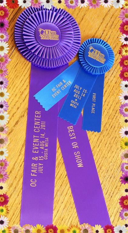 [Best-Blog-OC-Fair6.jpg]