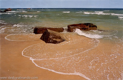 pinturas a oleo super realistas Roberto Bernardi Erich Christensen Steve Mills desbaratinando (47) pinturas a oleo super realistas Roberto Bernardi Erich Christensen Steve Mills desbaratinando (47)