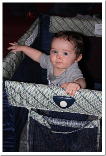 IMG_6569 IMG_6569