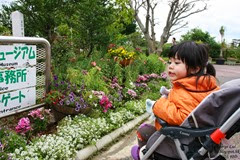 IMG_3512 IMG_3512