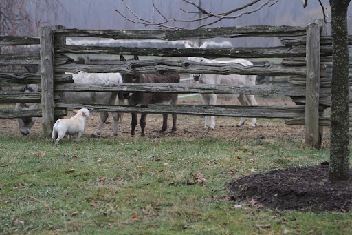 Hold on, Donks!  I'm trying to remember!