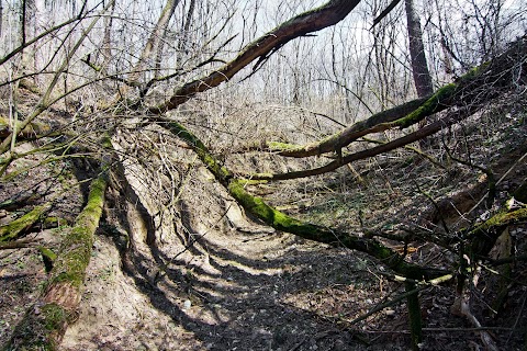 ... v tufovom kaňone ... ... v tufovom kaňone ...