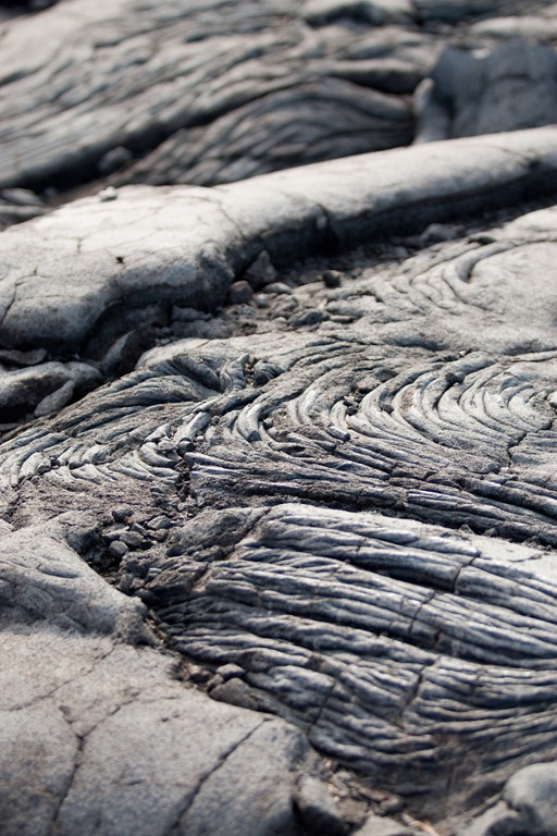 [20121212-IMG_19383.jpg]