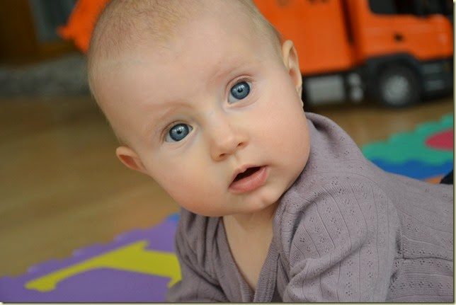 DSC_4086 DSC_4086