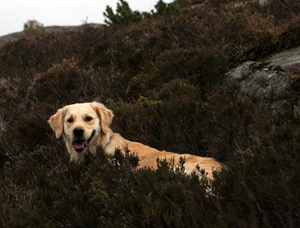 IMG_0274