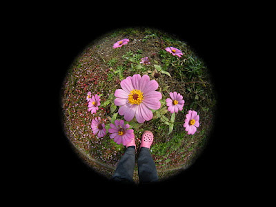 FinePix S8100fd + 38.1-52mmステップアップリング + 52-28mmステップダウンリング + FC-E8 FinePix S8100fd + 38.1-52mmステップアップリング + 52-28mmステップダウンリング + FC-E8