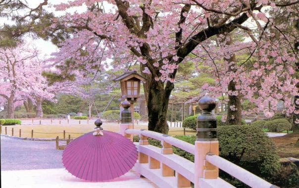 Image Dimension: 604x381 :: Photos: Trust me its Real Photos: Trust me its Real