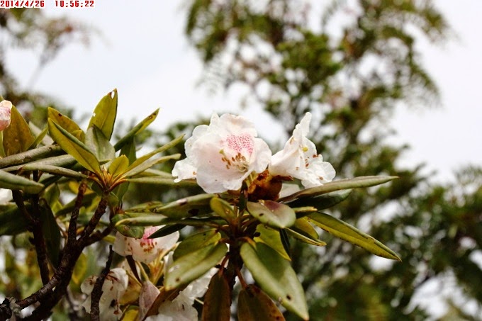 2014_0426_105622 2014_0426_105622