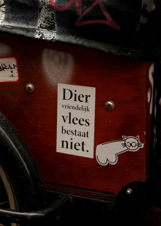 IMG_2640 IMG_2640
