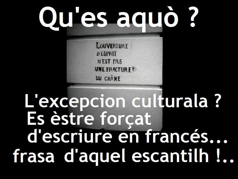 [excepcion%2520culturala%25202%255B4%255D.jpg]