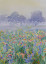 janda - Best%252520flower%252520Fog.jpg