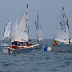 P7102396.jpg