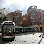 20080929 (17).JPG