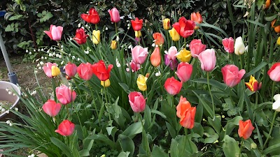 2014-04-10 07.07.27.jpg