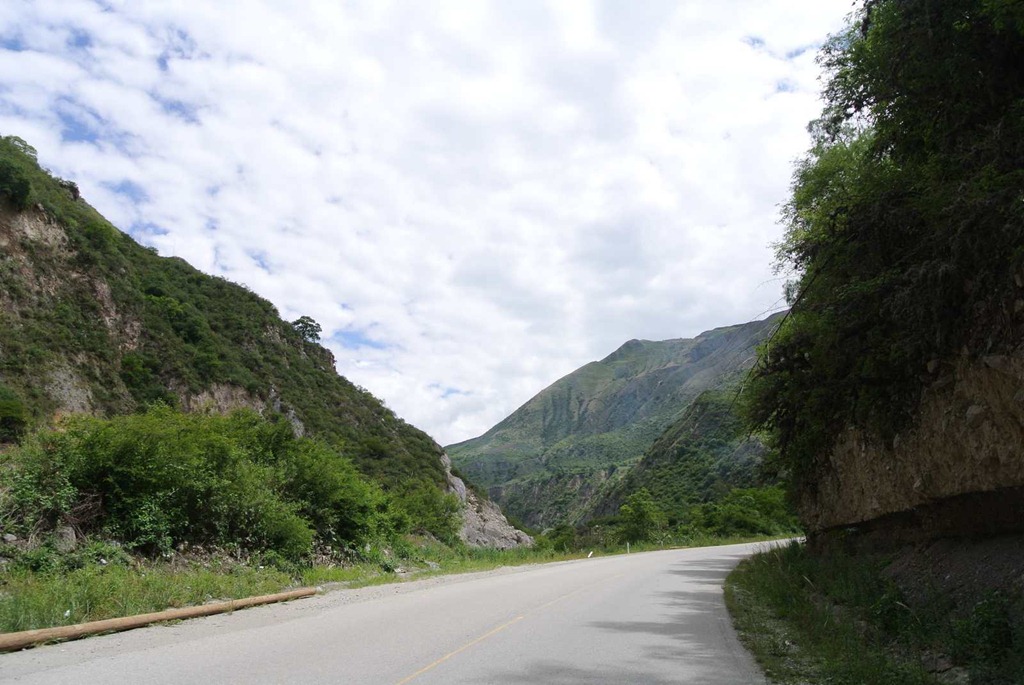 [DSC_61773.jpg]