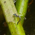 P1290910