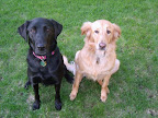 Cleopatra and Riley.jpg