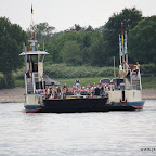 IMG_2515.jpg