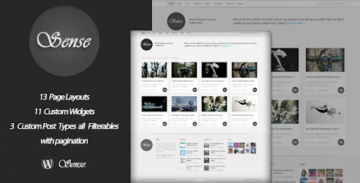 Sense - Semi-liquid Premium Wordpress Theme - ThemeForest Item for Sale