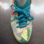 Nike LeBron 9 Low LeBronold Palmer Alternate Inverted Sample nike lebron 9 low pe lebronold palmer 1 03 Nike LeBron 9 Low LeBronold Palmer Alternate Inverted Sample