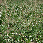 singold-bote_waldlehrpfad-schwabegg_050.jpg