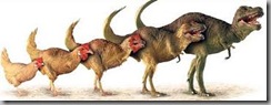chickenosaurs