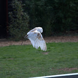 Cub Pack Holiday - Skreens Park 2012 - DSC_0159.jpg
