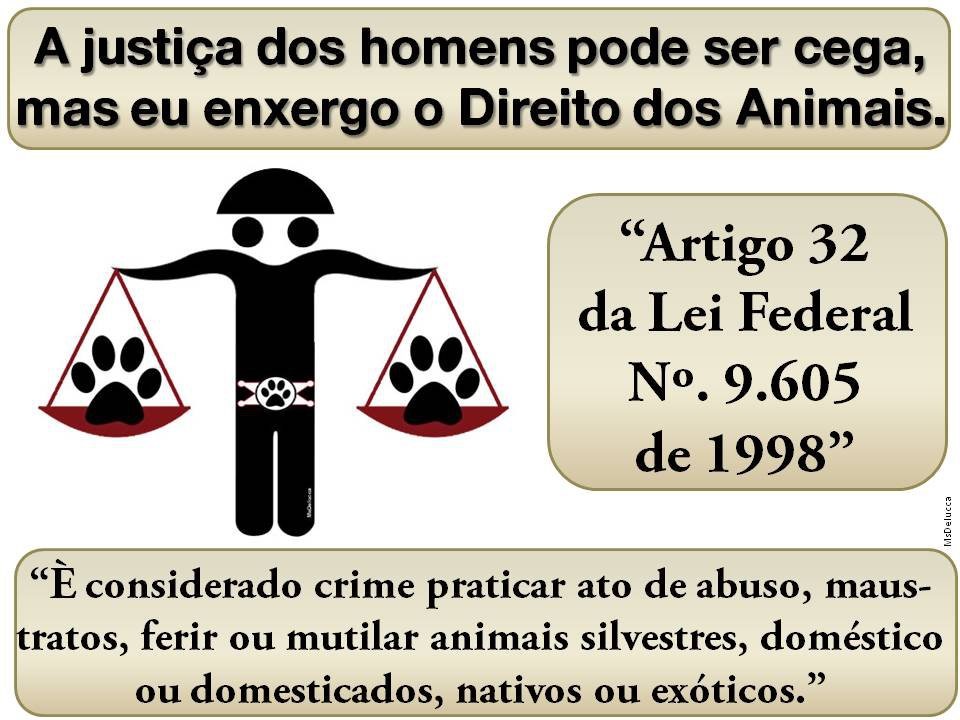 [justica-animais%255B3%255D.jpg]