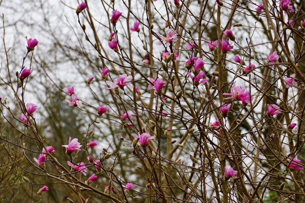 [DSC03784%255B3%255D.jpg]