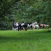 2011-09 Ruiter escorte_0010.jpg