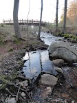 DSC03191.JPG