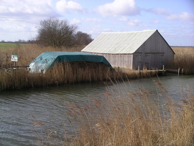 IMGP2116