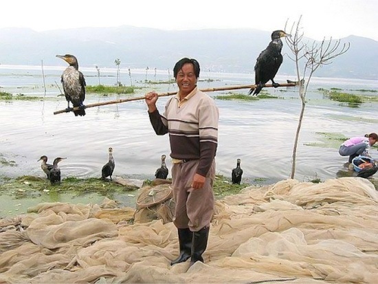 animals-and-humans_07