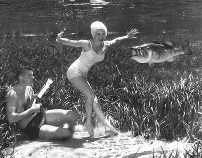 [wiki%2520wachee%255B5%255D.jpg]