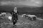 people gh223