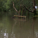 image26.jpg