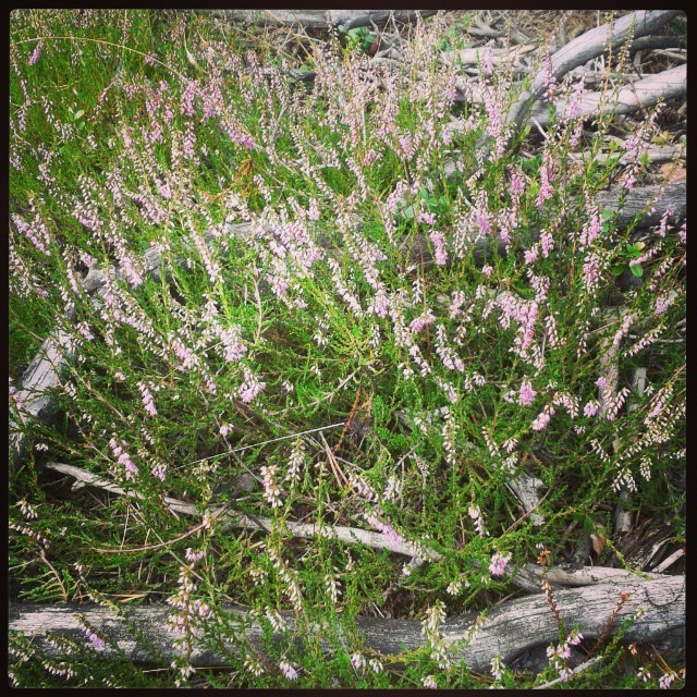 [10534898_1459498457651421_1325679664_n%255B8%255D.jpg]