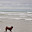 DSC_0247.jpg