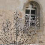 photoIMG_4013.jpg