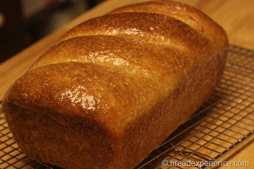 [honey-graham-oatmeal-bread042%255B7%255D.jpg]