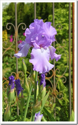 IMG_2864 IMG_2864